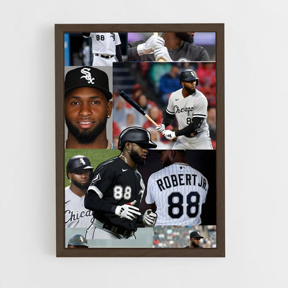 ap-luis robert-1 cadre Bois foncé