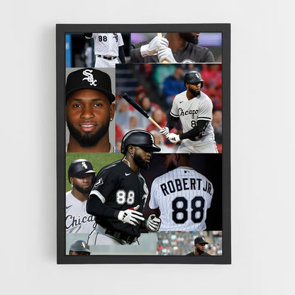 ap-luis robert-1 cadre Noir