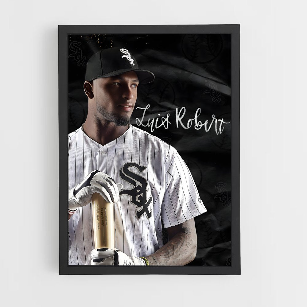 ap-luis robert-3 cadre Noir
