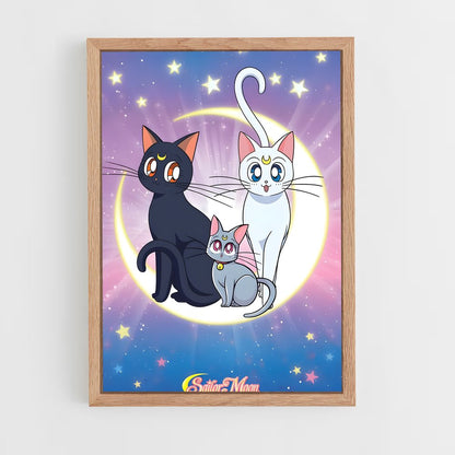 ap-luna sailor moon-1 cadre Bois clair