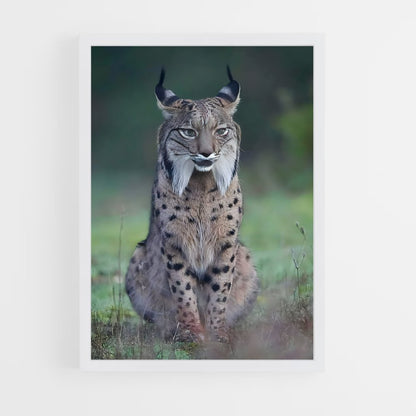 ap-lynx-1 cadre Blanc