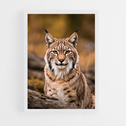ap-lynx-2 cadre Blanc