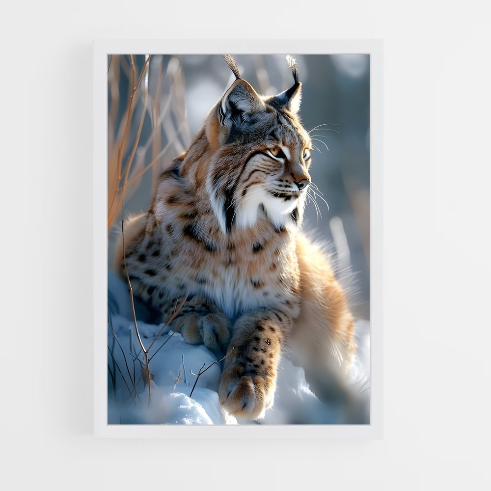 ap-lynx-4 cadre Blanc