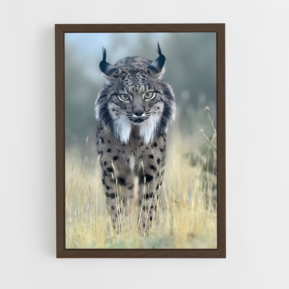 ap-lynx-5 cadre Bois foncé