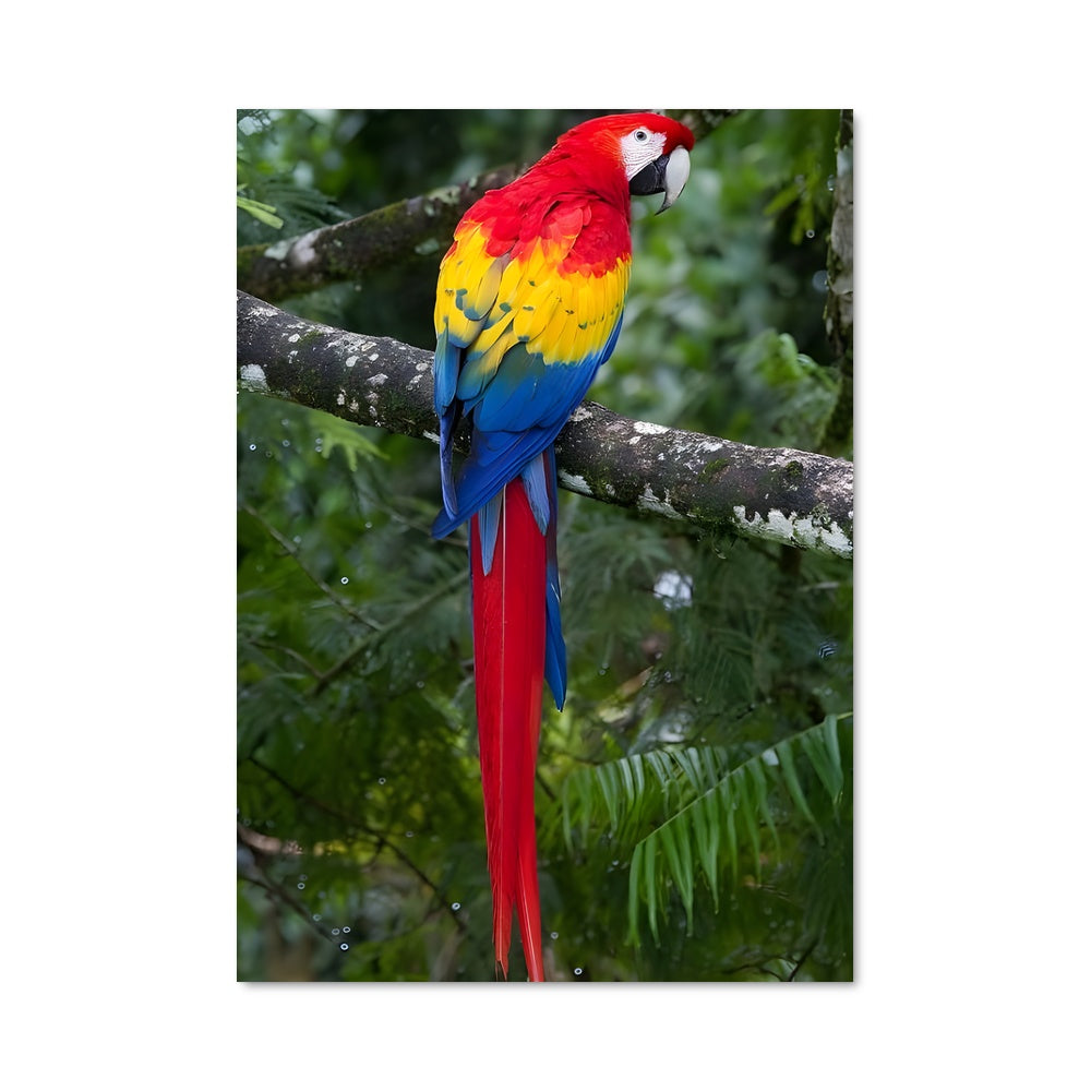 Poster La Danse de l'Émeraude