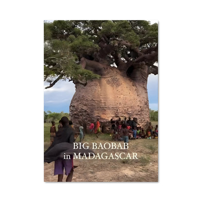 Poster Sous le Baobab