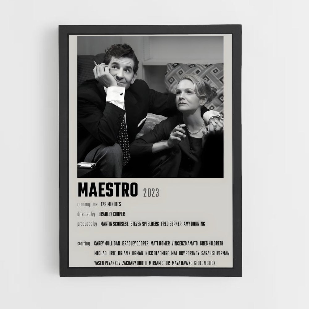 ap-maestro-2 cadre Noir