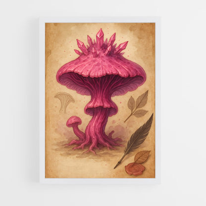 ap-magic mushroom-1 cadre Blanc