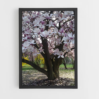 ap-magnolia-3 cadre Noir