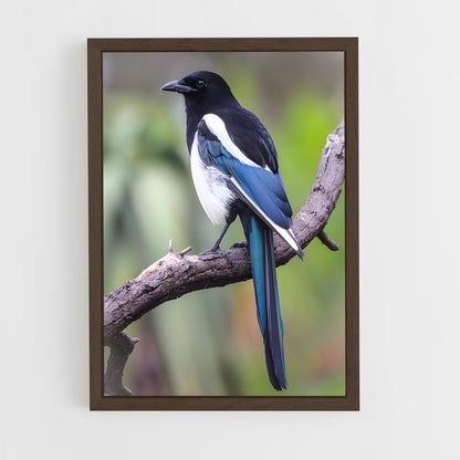 ap-magpie-1 cadre Bois foncé
