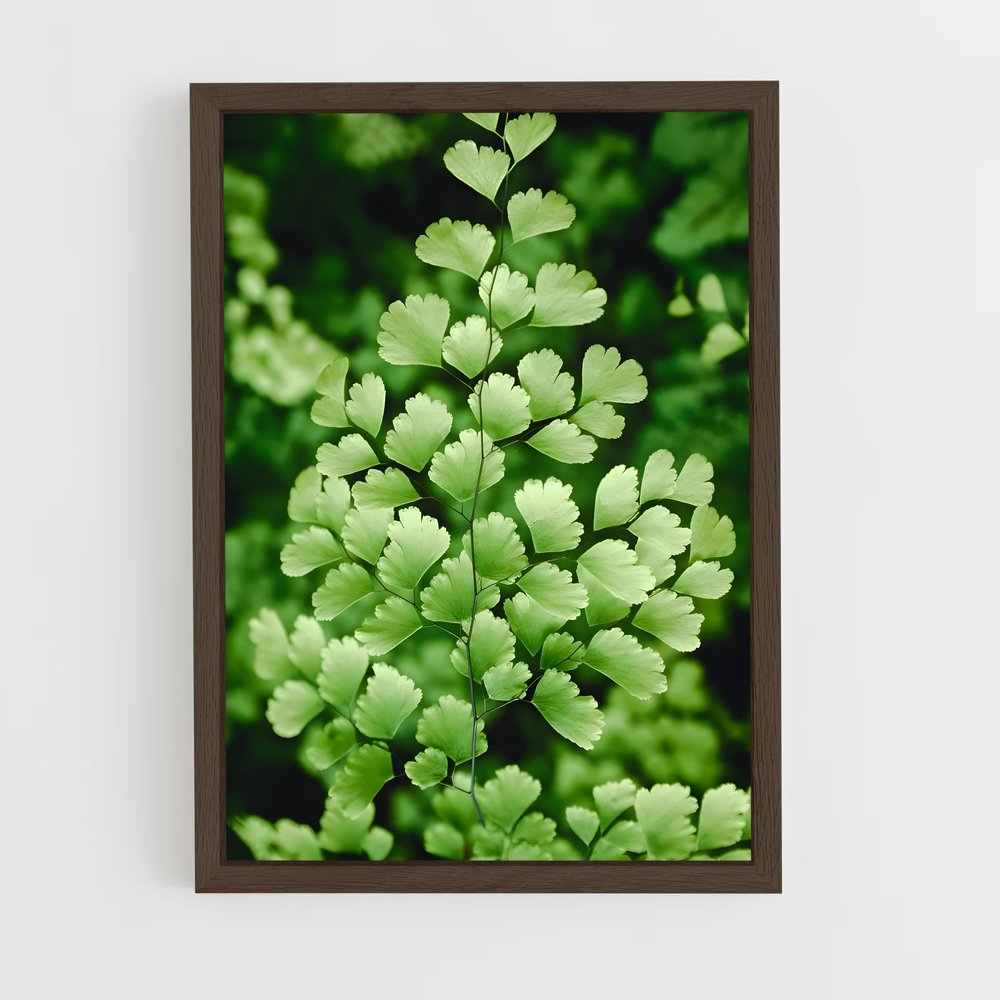 ap-maidenhair fern-1 cadre Bois foncé