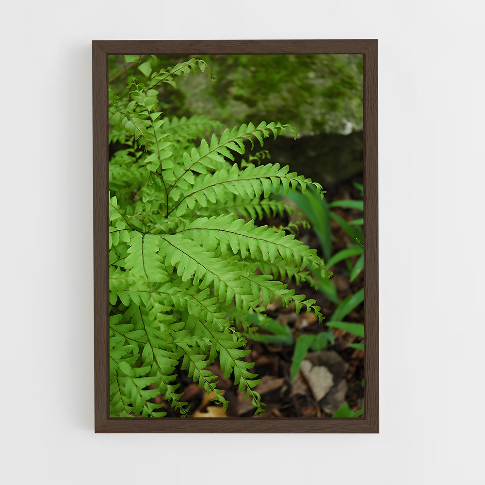 ap-maidenhair fern-3 cadre Bois foncé