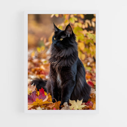 ap-maine coon-10 cadre Blanc