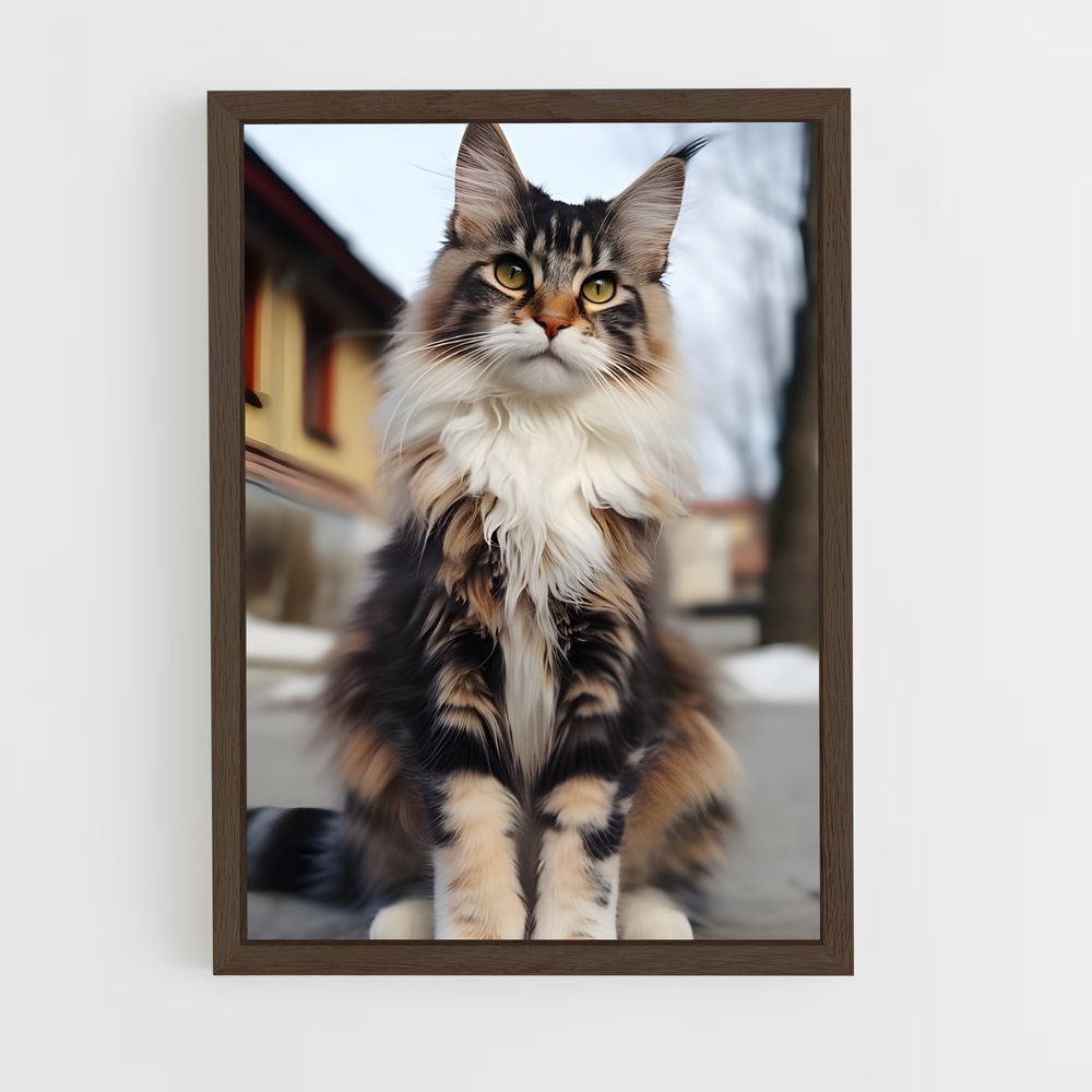 ap-maine coon-2 cadre Bois foncé