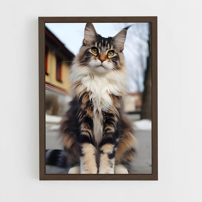 ap-maine coon-2 cadre Bois foncé