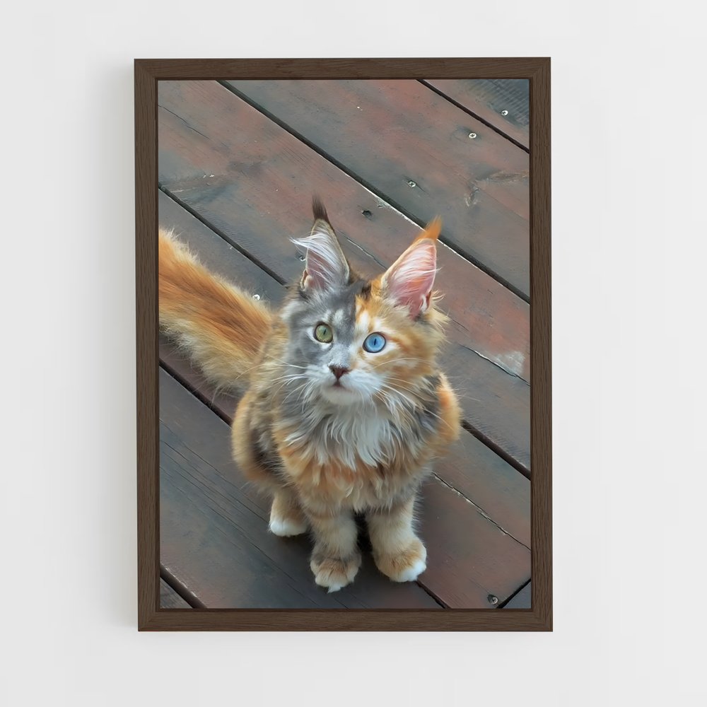 ap-maine coon-4 cadre Bois foncé