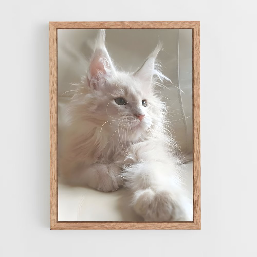 ap-maine coon-5 cadre Bois clair