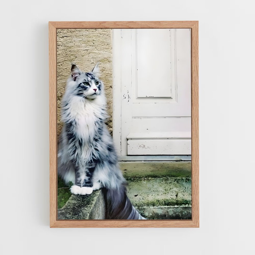 ap-maine coon-7 cadre Bois clair