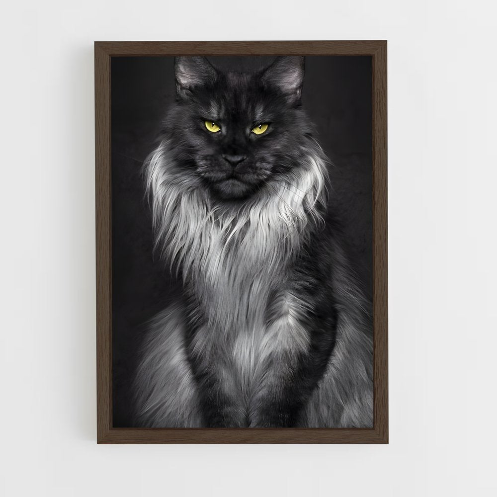 ap-maine coon-8 cadre Bois foncé