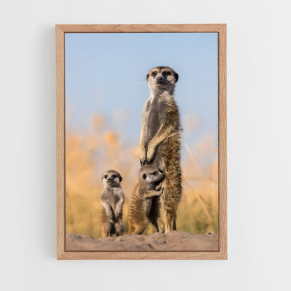 ap-makgadikgadi pans-6 cadre Bois clair