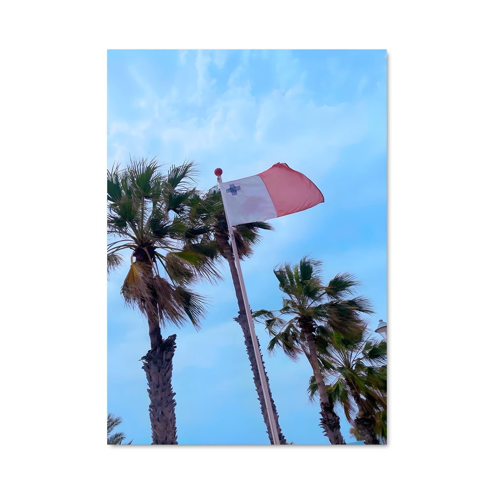 Poster Palmiers de Malte