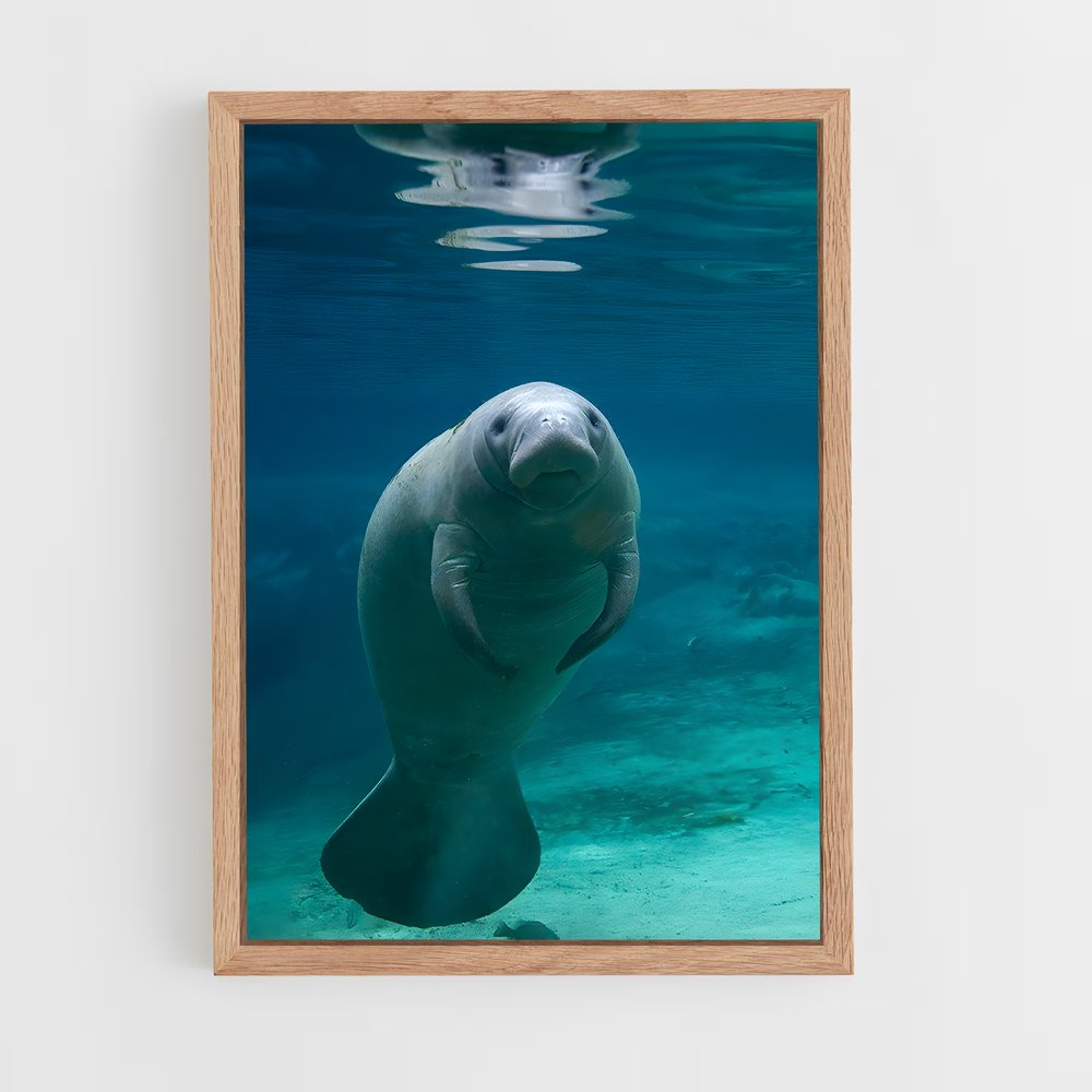 ap-manatee-1 cadre Bois clair