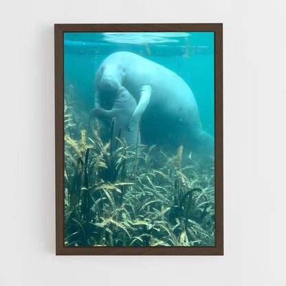 ap-manatee-3 cadre Bois foncé