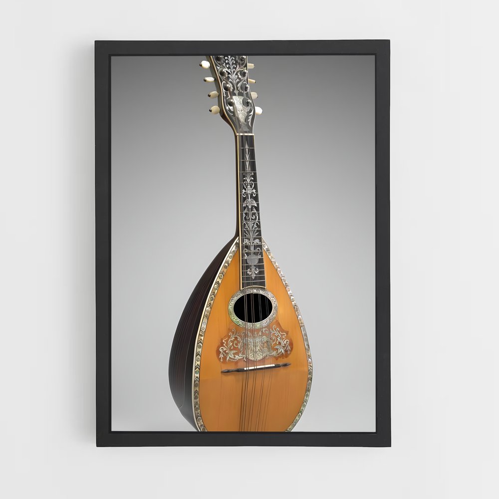 ap-mandolin-1 cadre Noir