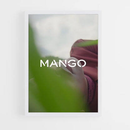 ap-mango-1 cadre Blanc