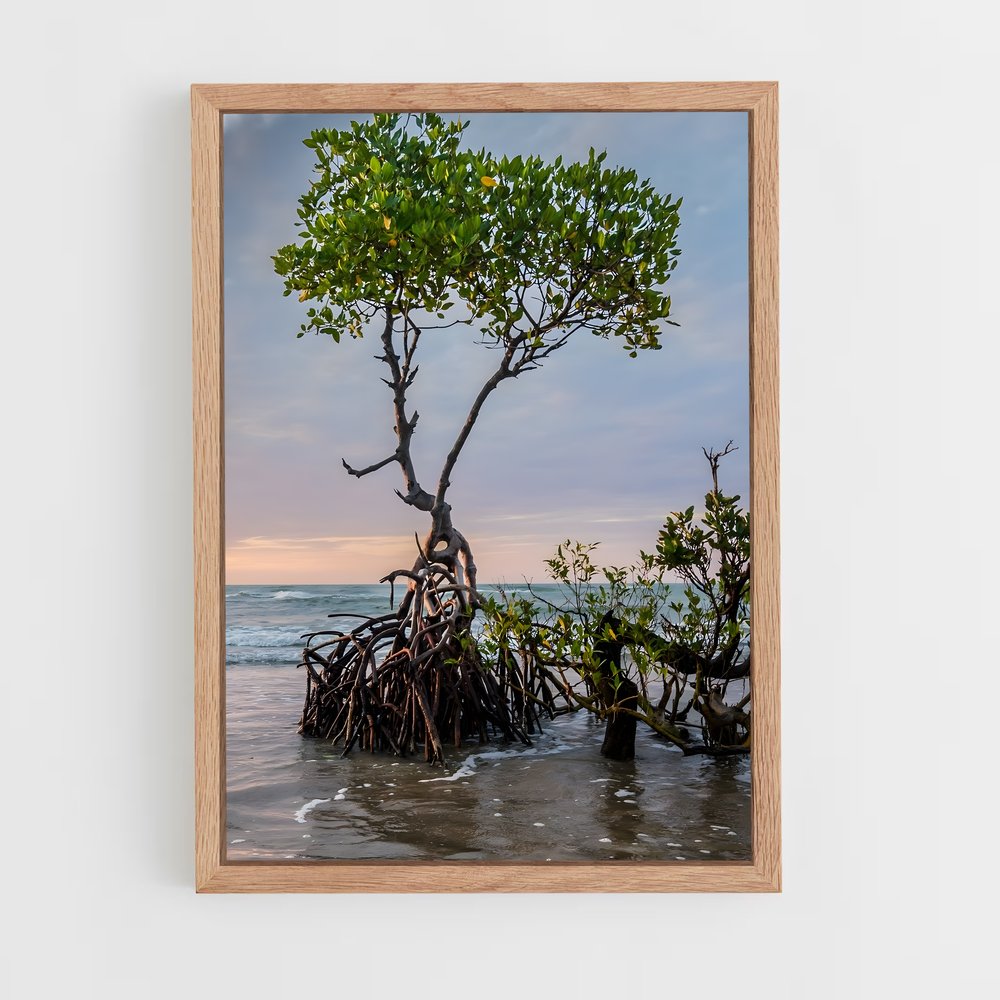 ap-mangrove-14 cadre Bois clair