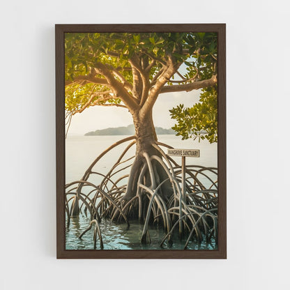 ap-mangrove-15 cadre Bois foncé