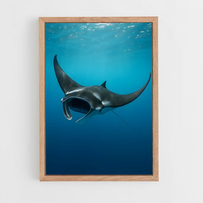 ap-manta ray-1 cadre Bois clair