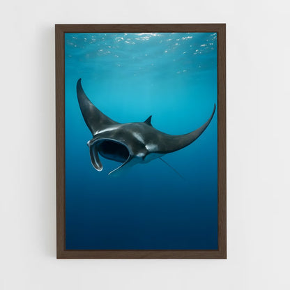 ap-manta ray-1 cadre Bois foncé