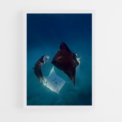 ap-manta ray-2 cadre Blanc