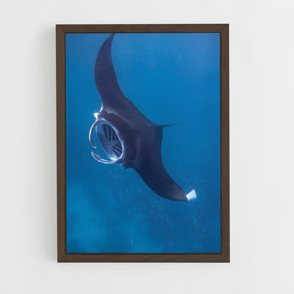 ap-manta ray-3 cadre Bois foncé