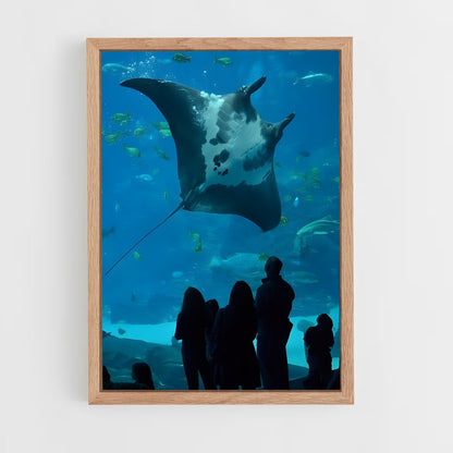 ap-manta ray-5 cadre Bois clair