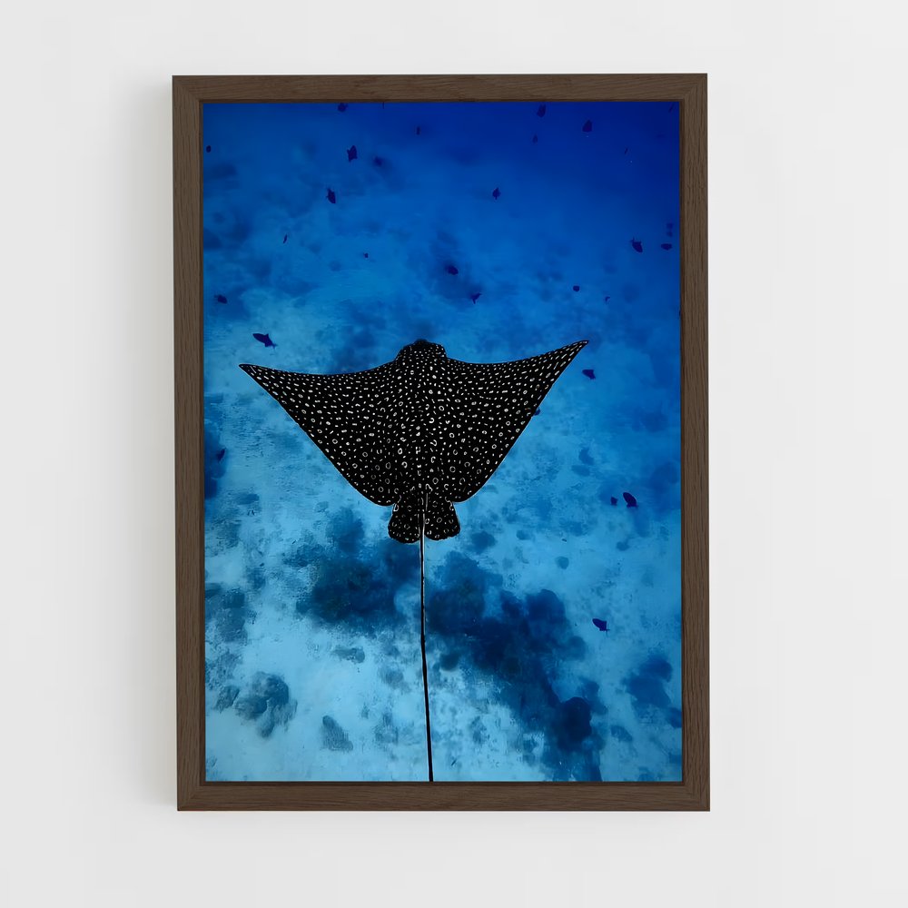 ap-manta ray-7 cadre Bois foncé