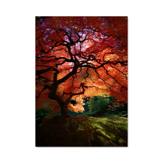 Poster Écorce d'Automne