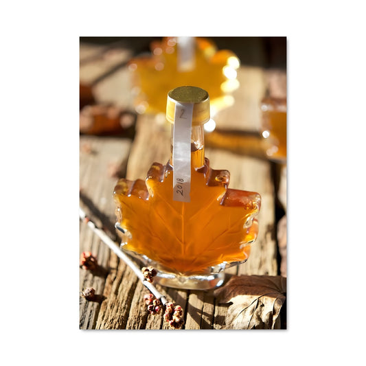 Poster Maple syrup 24559