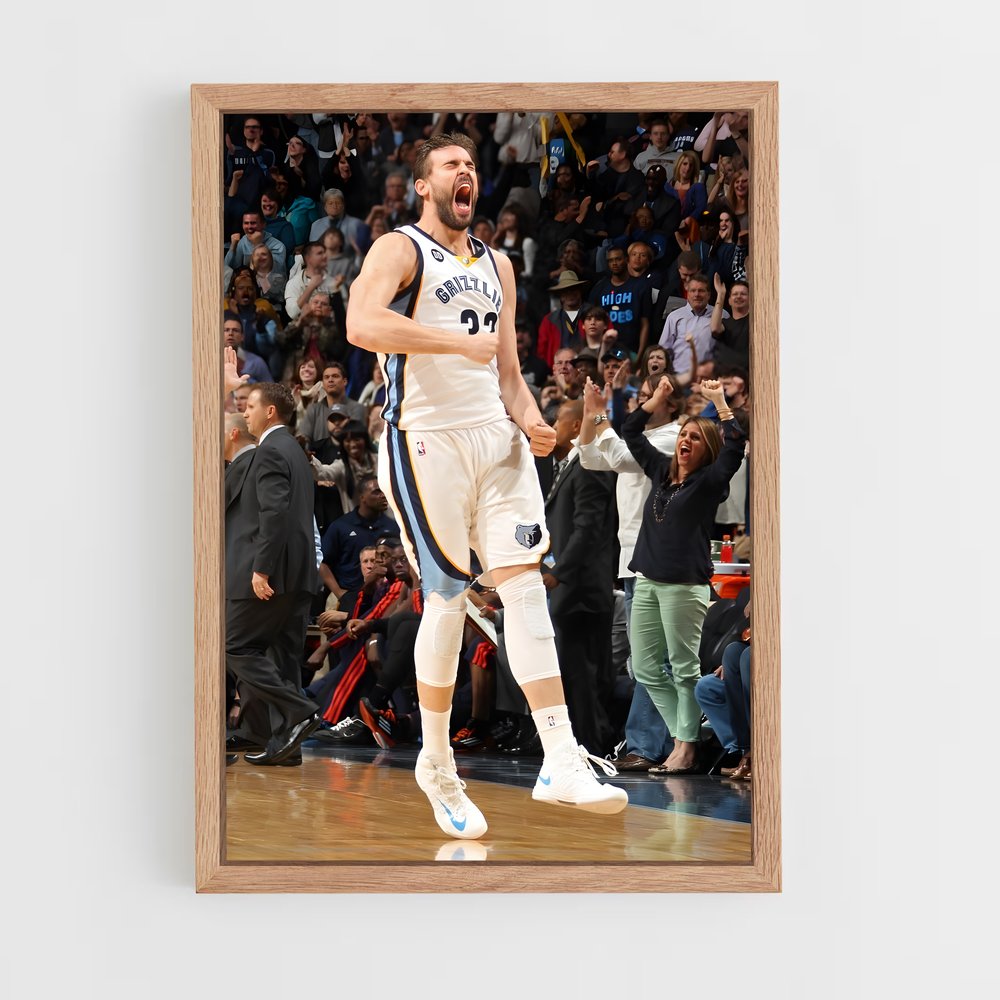ap-marc gasol-2 cadre Bois clair