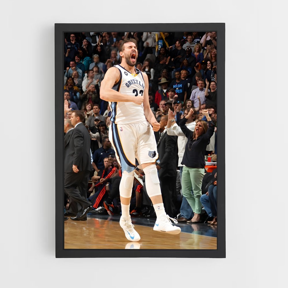 ap-marc gasol-2 cadre Noir