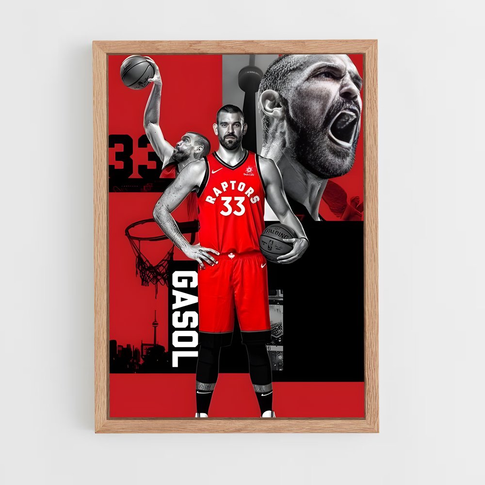 ap-marc gasol-4 cadre Bois clair