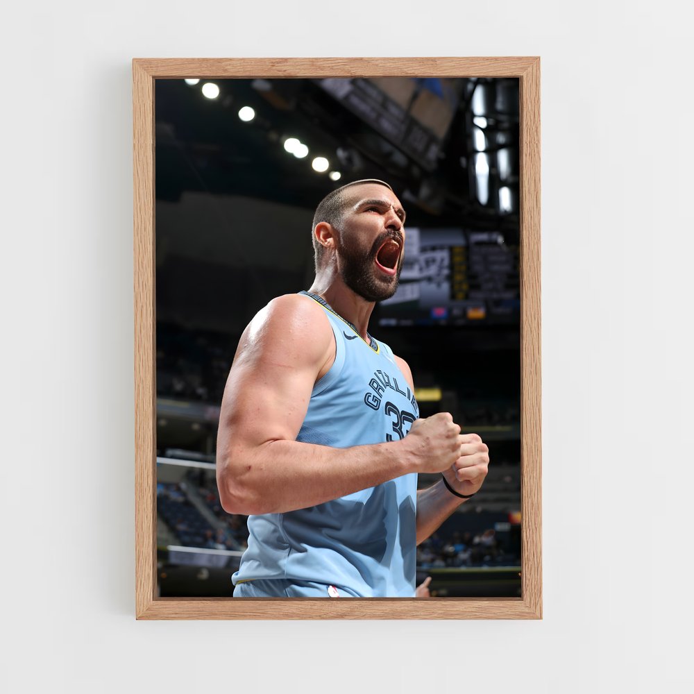 ap-marc gasol-8 cadre Bois clair