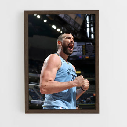 ap-marc gasol-8 cadre Bois foncé