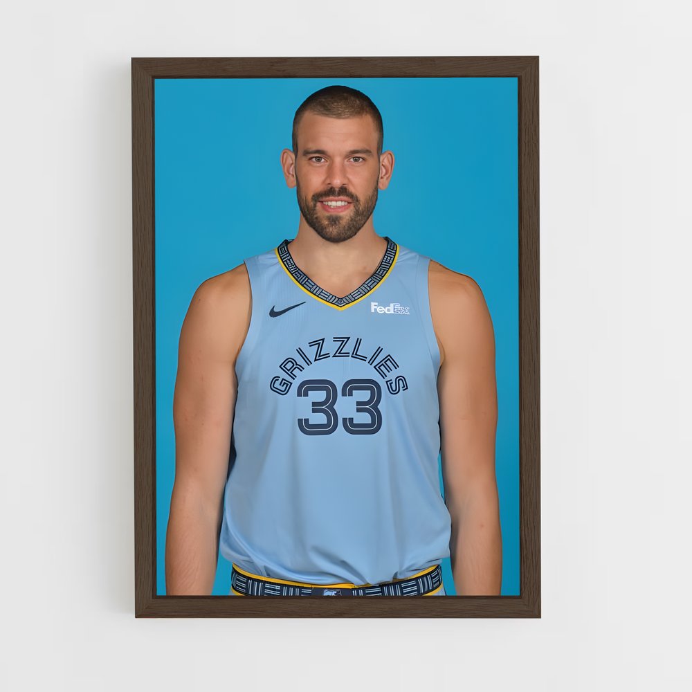 ap-marc gasol-9 cadre Bois foncé