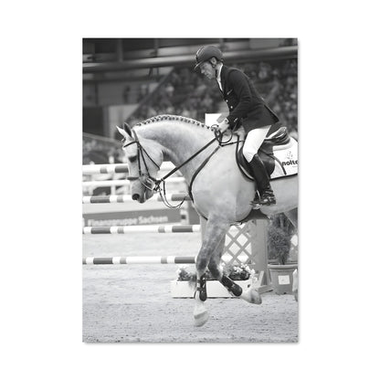 Poster Marcus ehning 67376
