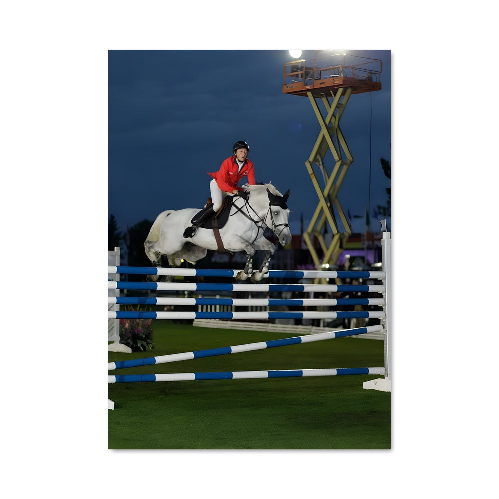 Poster Martin fuchs 67383