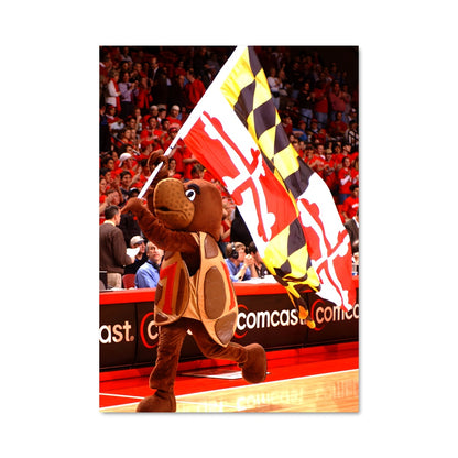 Poster Terps Dunk