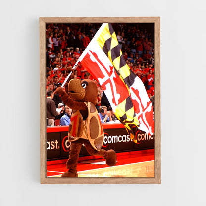 ap-maryland terrapins-1 cadre Bois clair