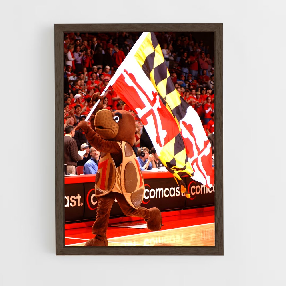 ap-maryland terrapins-1 cadre Bois foncé